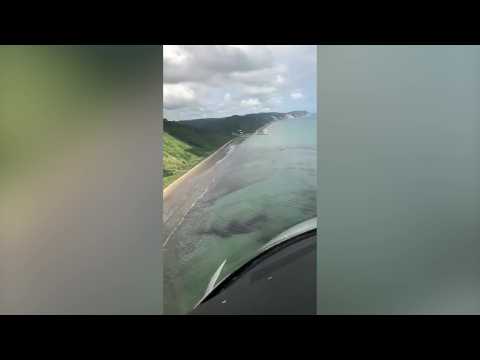 Oil spill along tourist beach in Northern Ecuador