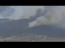 Forest fires rage near Athens as Greece battles heatwave