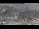 Greek island of Rhodes left blackened by wildfires near village of Navi