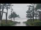 Heavy rainfall and strong wind in Busan as storm Khanun approaches