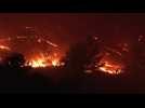 Wildfires continue to rage on Greek island of Rhodes after thousands flee