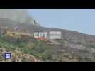 Images of firefighting plane crash in Greece