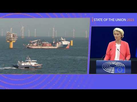 EU to 'fast-track' wind power installation permits: von der Leyen