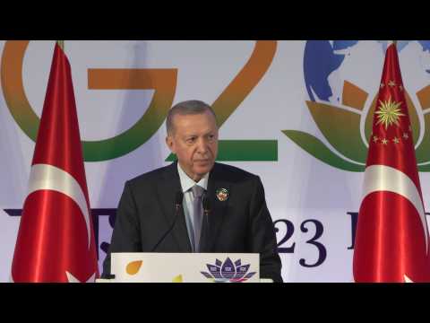 Erdogan calls for Russia to not be 'marginalised' in grain deal