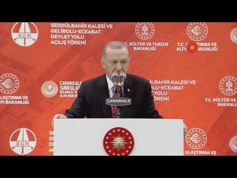 Turkey's Erdogan announces that Ukraine grain deal extended (2)