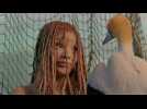 La Petite sirène - Bande annonce 6 - VO - (2023)