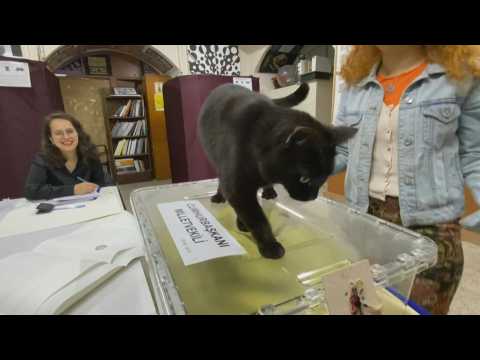 Officials start counting ballots in an Istanbul poll station