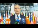 'NATO becomes stronger, Finland becomes safer': Stoltenberg on Finland joining alliance