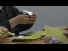 Vote counting underway in Turkey's historic runoff election (2)