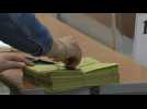 Vote counting begins in Turkey's historic runoff election