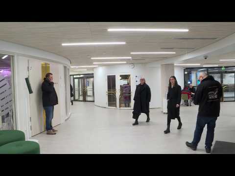 Finnish Prime Minister casts her vote