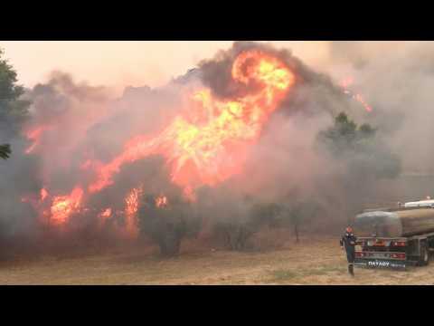 Wildfire inferno rages near Athens as Greece orders residents to evacuate