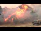 Wildfire inferno rages near Athens as Greece orders residents to evacuate