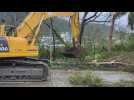 Trees uprooted after Typhoon Haikui batters Taiwan