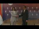 Indonesia's Widodo meets US Vice President Harris