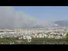 Thick smoke engulfs Athens on fifth day of major fires in Greece