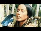 L'Ile des dauphins bleus - Bande annonce 1 - VO - (1964)