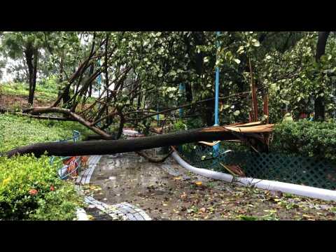 Aftermath of typhoon Saola in Hong Kong