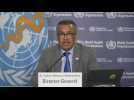 South Gaza hospitals have only three days' fuel left: WHO chief