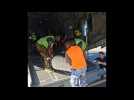 Australia sends aid to Papua New Guinea massive landslide site