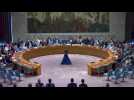 Security Council decides to withdraw UN mission from Iraq by end of 2025