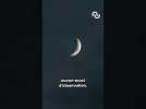 Des ÉTOILES FILANTES visibles en FRANCE #shorts