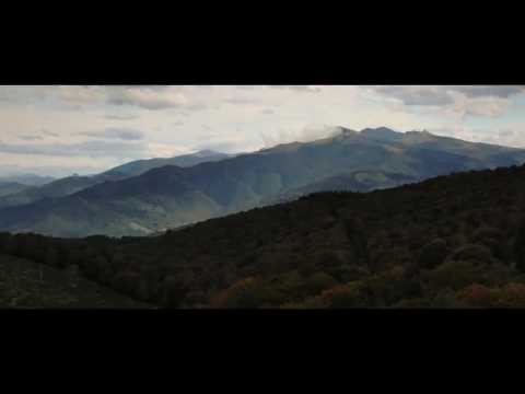 Murder Company - Bande annonce 1 - VO - (2024)