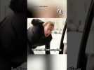 Des voyageurs temporels sabotent les memes et on ne sait pas pourquoi #shorts