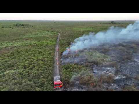 Record fires in Brazil's Pantanal wetlands