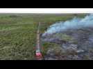 Record fires in Brazil's Pantanal wetlands