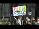 Outside London court set to rule on Julian Assange extradition